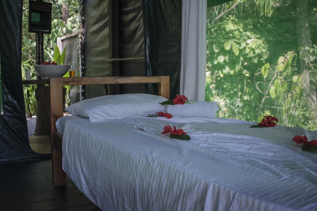 La Leona Eco Lodge Carate Ngoại thất bức ảnh