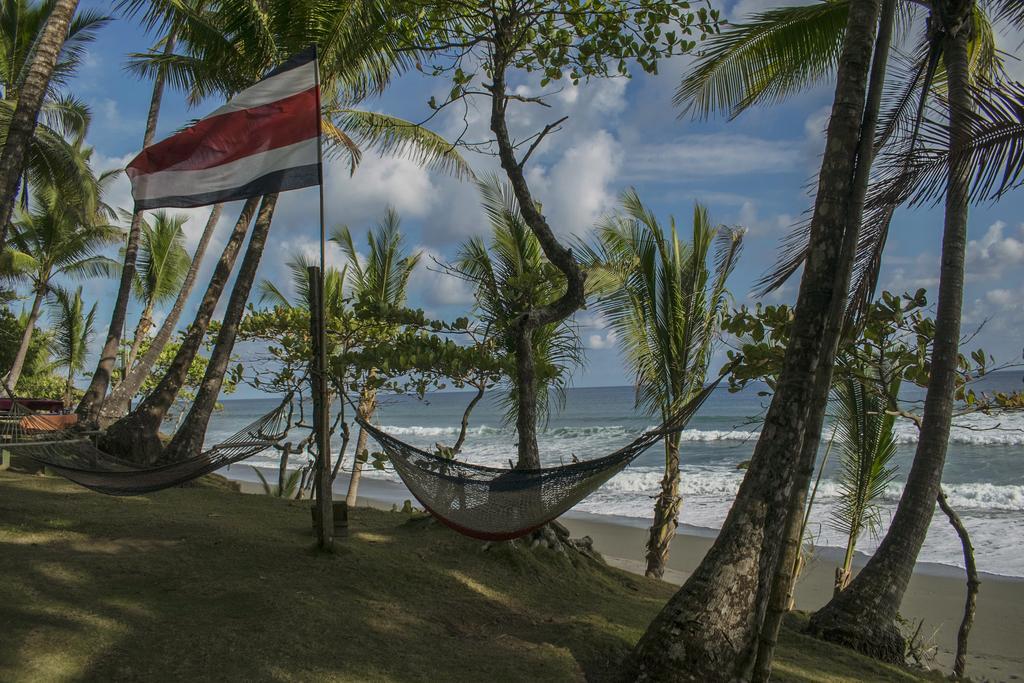 La Leona Eco Lodge Carate Ngoại thất bức ảnh