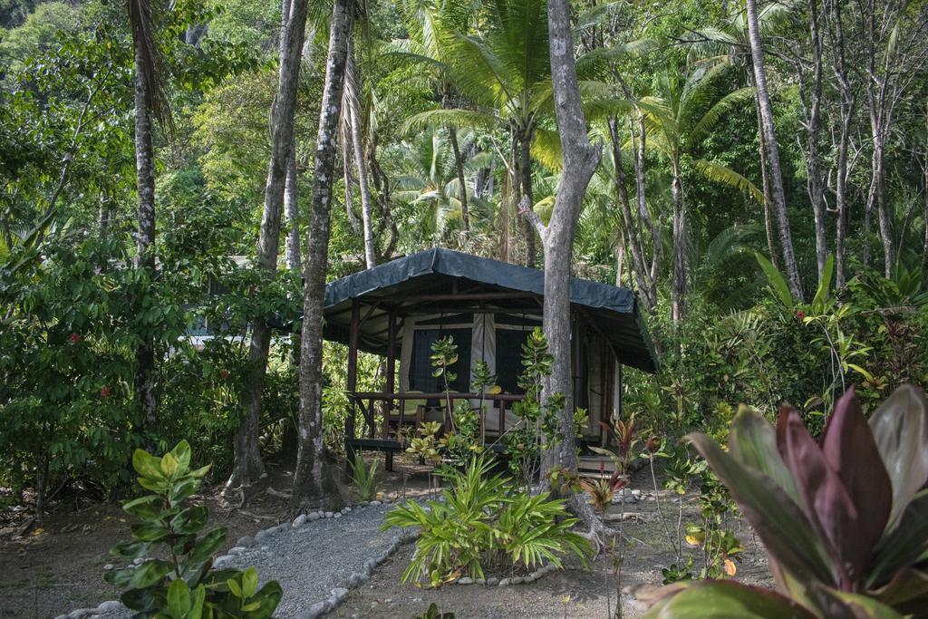 La Leona Eco Lodge Carate Ngoại thất bức ảnh